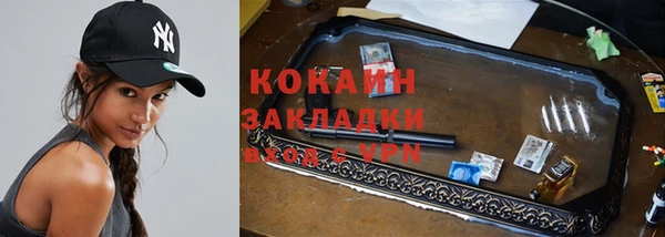 сатива Бронницы