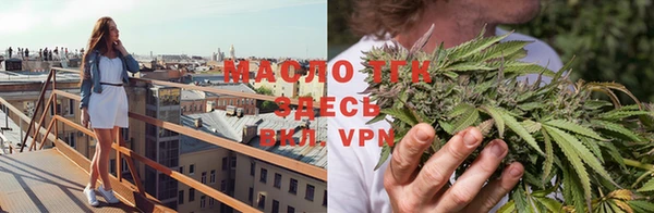 сатива Бронницы