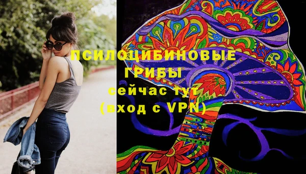 сатива Бронницы