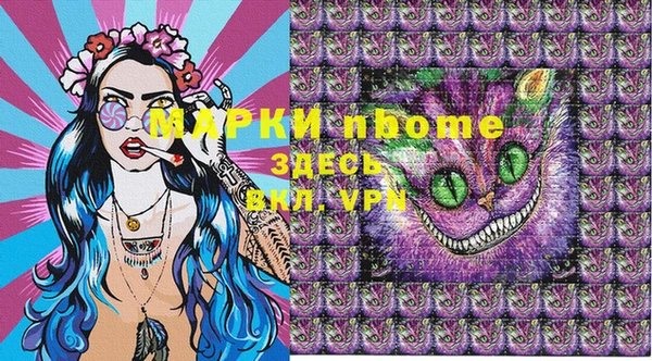 сатива Бронницы
