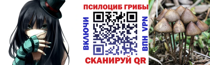 Псилоцибиновые грибы Psilocybine cubensis  Ангарск 